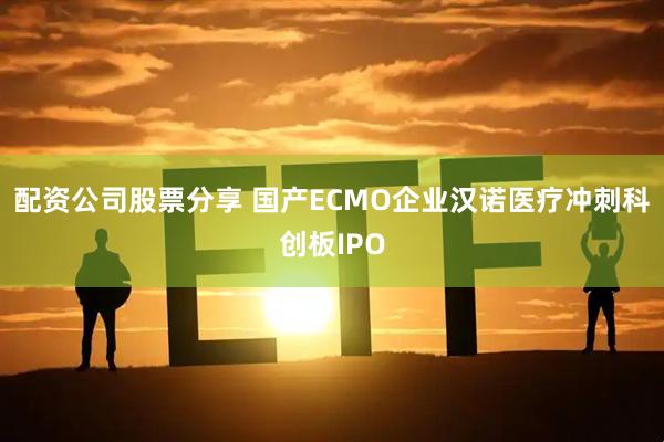 配资公司股票分享 国产ECMO企业汉诺医疗冲刺科创板IPO