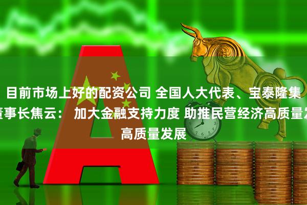 目前市场上好的配资公司 全国人大代表、宝泰隆集团董事长焦云： 加大金融支持力度 助推民营经济高质量发展