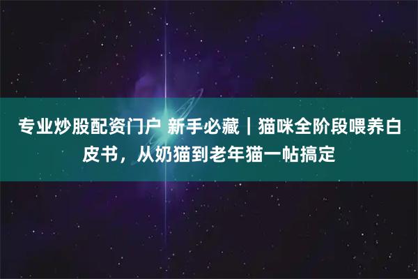 专业炒股配资门户 新手必藏｜猫咪全阶段喂养白皮书，从奶猫到老年猫一帖搞定